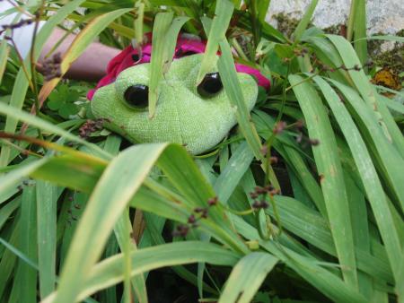 Caché sous les herbes folles