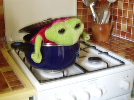  Ca se mange une grenouille ?