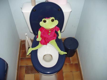 Une grenouille aussi ça fait pipi